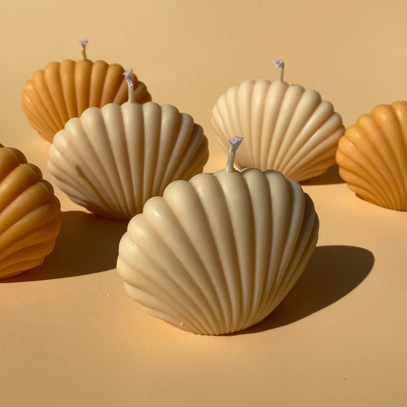 5 SHELL CANDLES